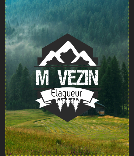 Vezin élagage